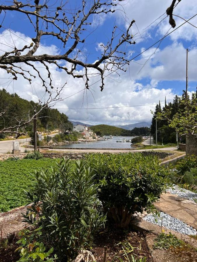 Green Bay Apartment Korčula Dış mekan fotoğraf